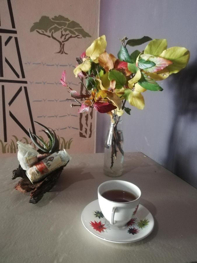 Ashtree Guesthouse Hanover Road 外观 照片