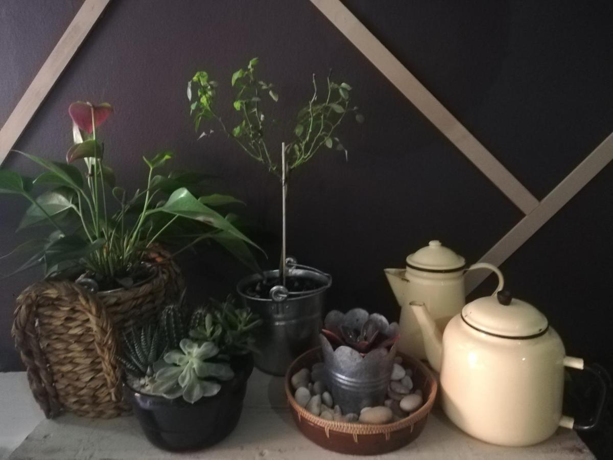 Ashtree Guesthouse Hanover Road 外观 照片